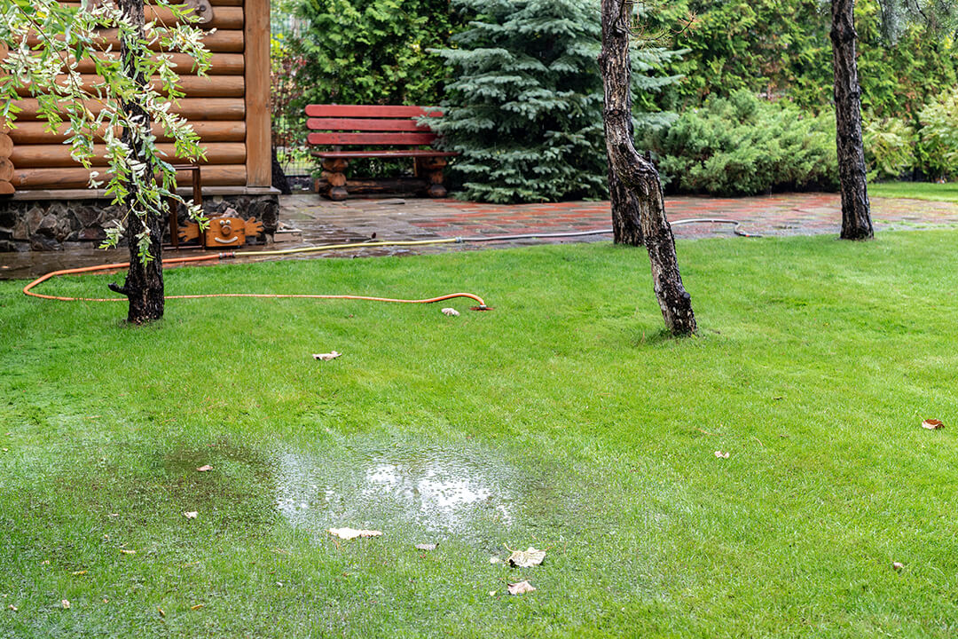 Improve Drainage In Your Lawn And Garden A Touch Of Dutch