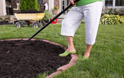 Spring Maintenance: Lawn & Garden Cleanup