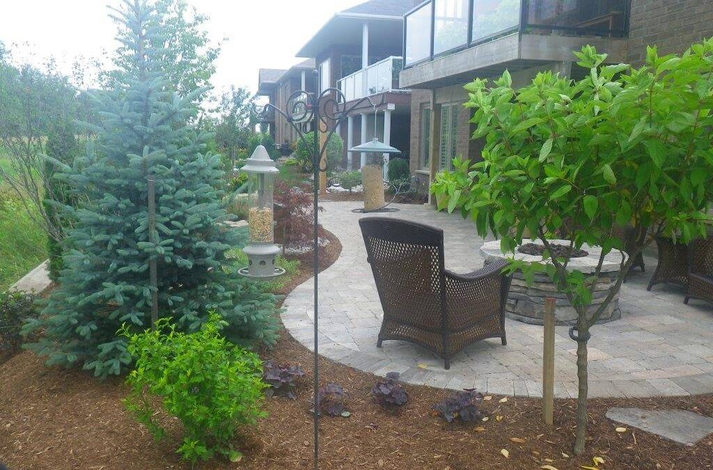 Stone patio and mulched gardens are part of low-maintenance landscaping