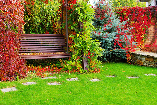 Add fall colour to garden