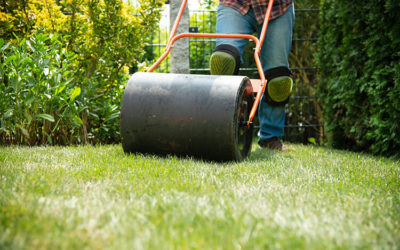 Lawn Care 101 – Aerating & Rolling