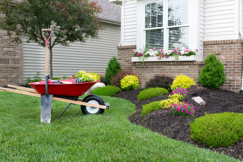 increase curb appeal lawn care edging pruning trimming weeding landscaping