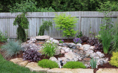 Adding Audio & Visual Interest with a Pondless Stream