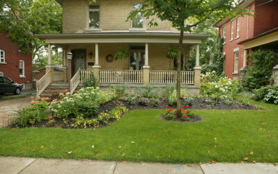 Formal Linear Garden Increases Curb Appeal