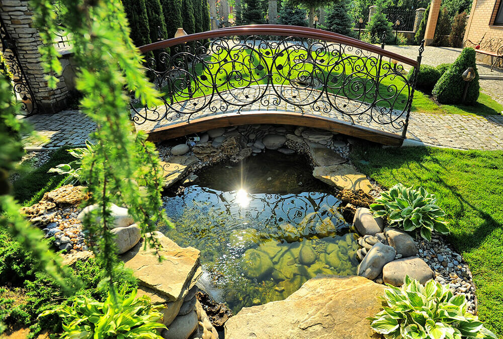 Hybrid landscape design bridge koi pond native plants natural stone water plants