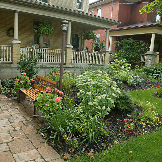 native flowers hydrangea stratford ontario Formal garden Linear style Pondless stream Curb appeal; Postage stamp garden Permacon Melville Pavers