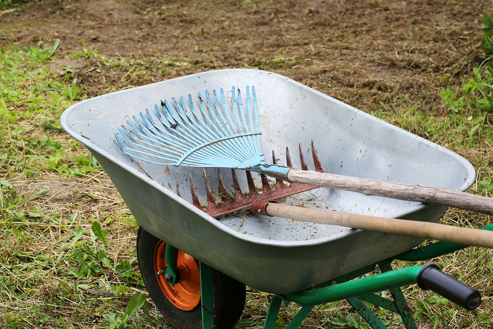 garden tools rakes trolley summer spring