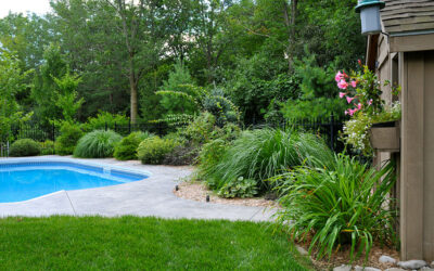 Backyard Oasis with Curb Appeal Out Front