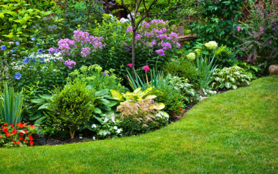 Colourful Landscaping Ideas