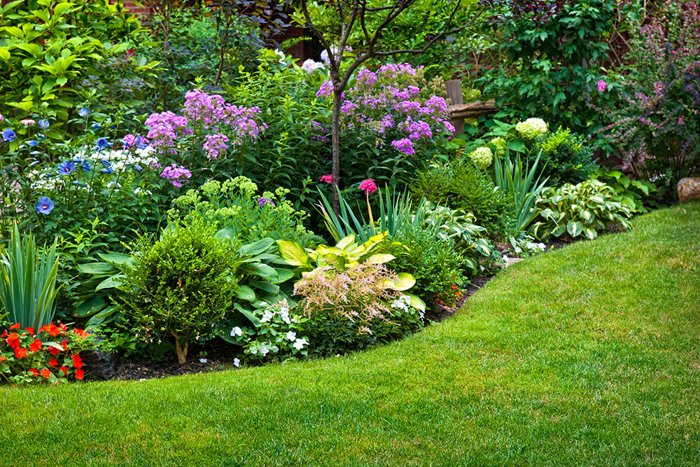year round color landscaping colourful perennials plants flowers trees shrubs