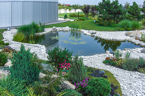 groundcover to grow in sun and shade landscaping around pond