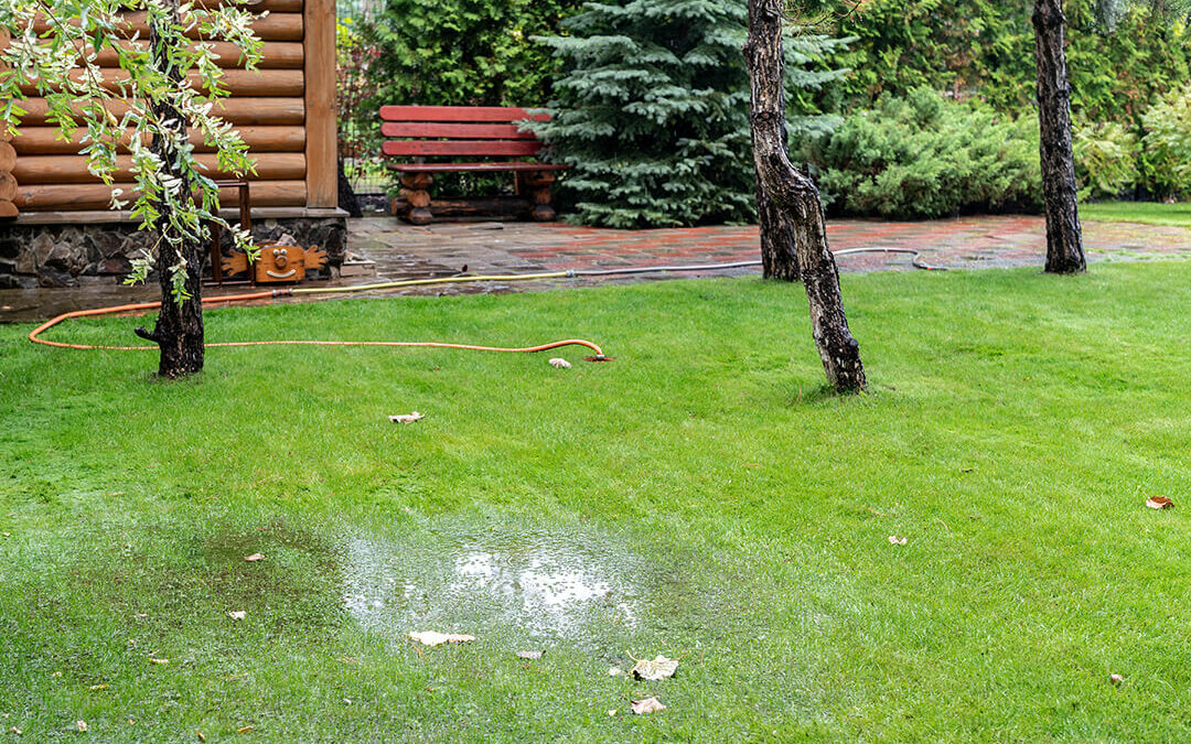 Improving drainage in lawn and garden standing water on grass