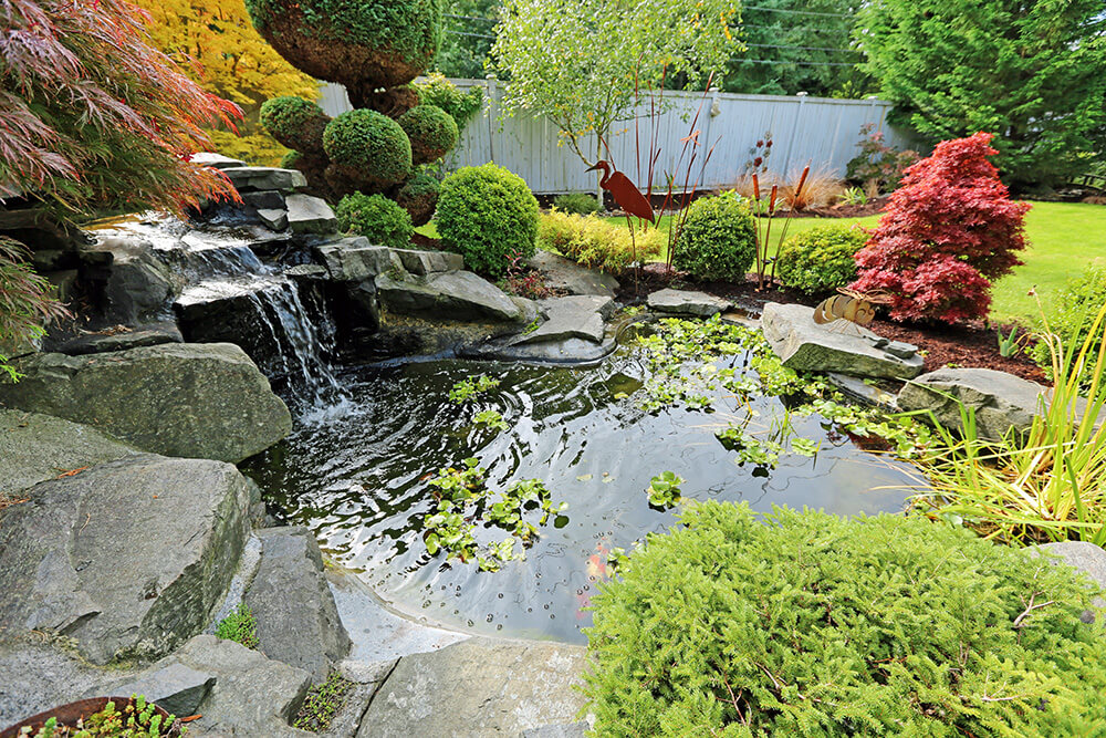 5 ways to attract wildlife to your backyard birds bees butterflies pond water feature source