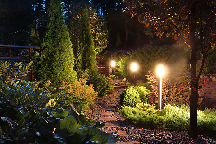illuminating backyard pathways with landscaping lighting