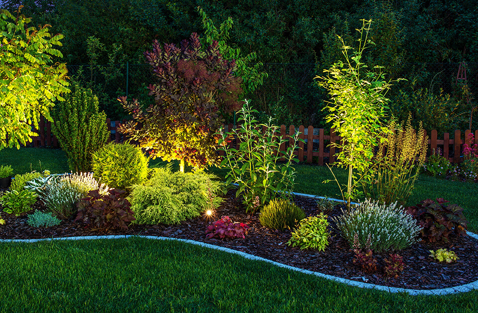 landscape lighting creating focal points with flood lights trees and shrubs