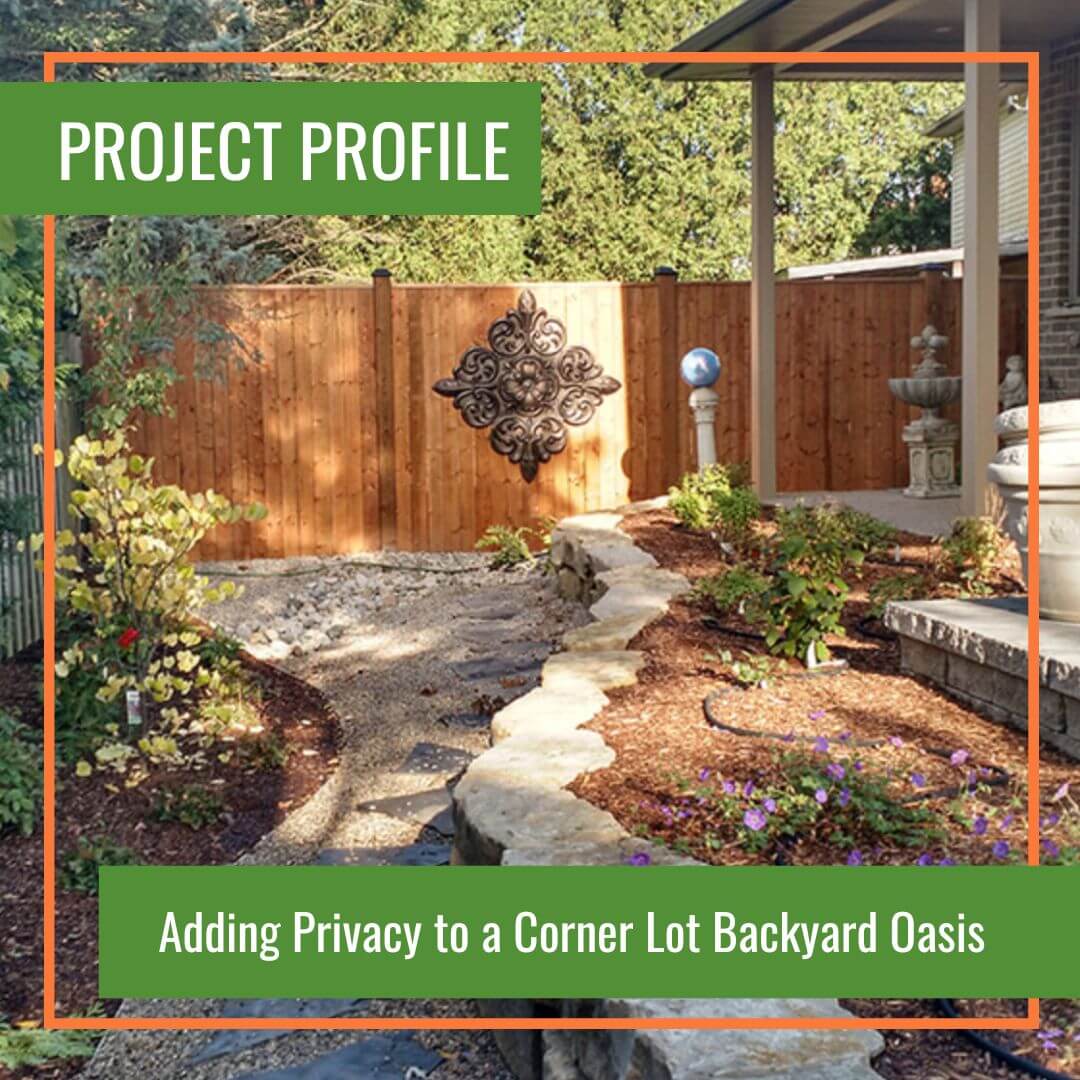 Instagram Post Adding Privacy to a Corner Lot Backyard Oasis