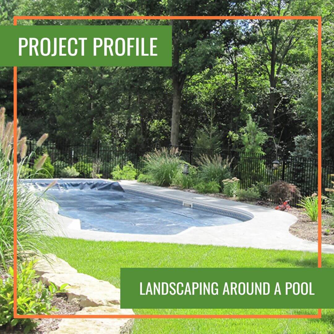 landscape project landscaping around a pool