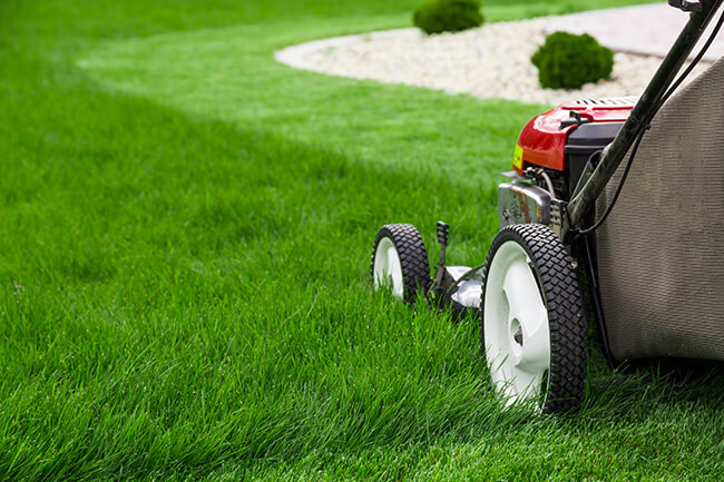 mow your lawn like a pro edging lawn care cut grass like a landscaper