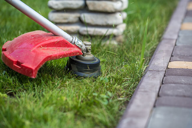 mow your lawn like a pro edging lawn care cut grass like a landscaper