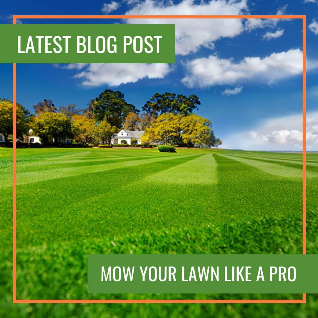 mow your lawn like a pro lawncare