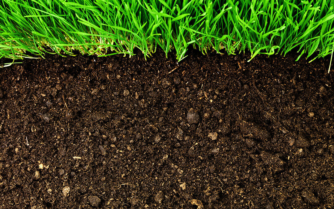 soil types and landscaping