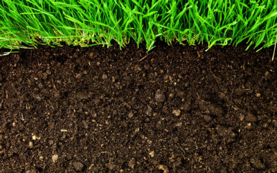 Soil Types and Landscaping