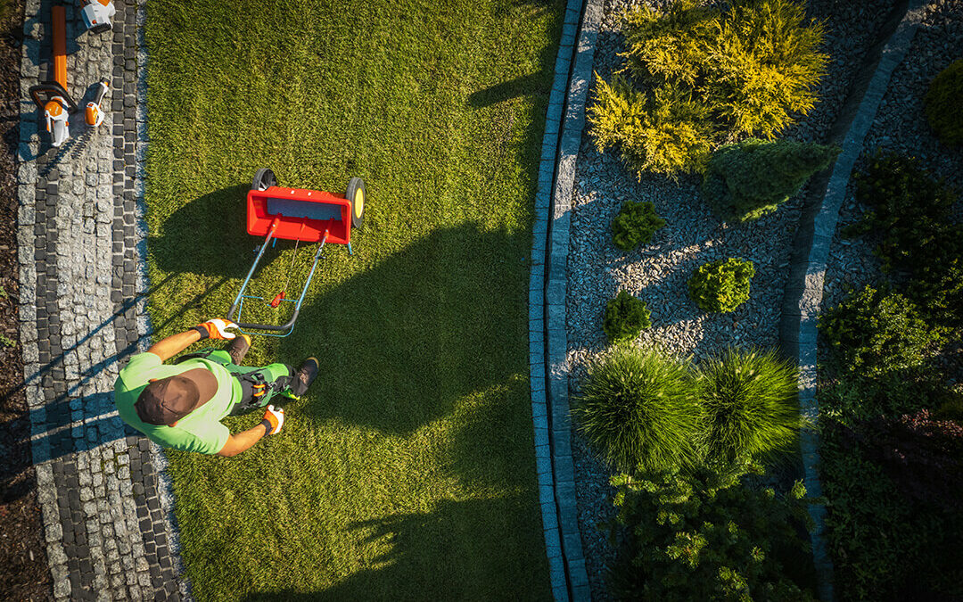Seed or Sod - How to establish the best lawn around your home