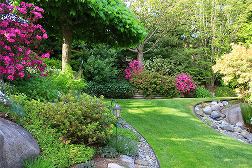 Low-maintenance landscaping with perennials