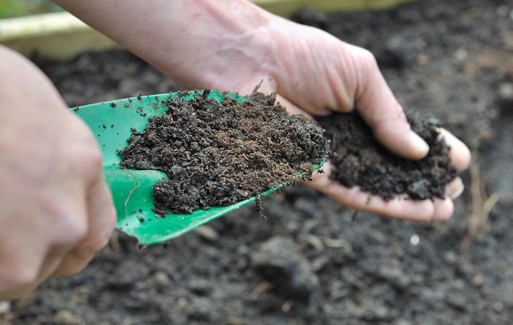 How to Amend Soil