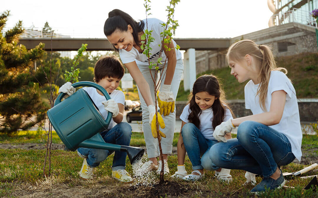 Caring for Newly Planted Trees watering