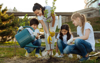 Caring for Newly Planted Trees