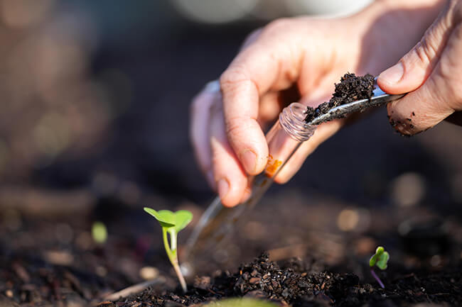 soil testing test the soil for gardens and flowerbeds